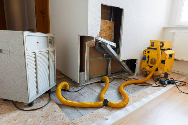 Best Comprehensive Air Testing for Mold Contaminants  in Avery Creek, NC